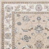 8' x 10' Beige or Ivory Floral Vine Bordered Indoor Area Rug