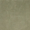 2'x4' Sage Green Indoor Shag Rug