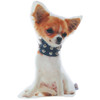 Pomerarian Dog Shape Filled Pillow Animal Shaped Pillow