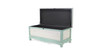 Rectangular Green Wooden with seat Cushion and inside Storage Bench