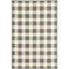 4x6 Gray and Ivory Gingham Indoor Outdoor Area Rug