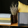 Set of 2 Black and Yellow Center Pillow Covers