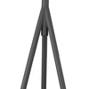 Faza 1-Light Matte Black Floor Lamp