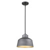 Barnes 1-Light Gray Convertible Pendant