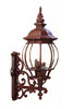 Chateau 4-Light Burled Walnut Wall Light