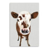 48" x 32" Brown and White Baby Cow Face Canvas Wall Art