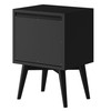 Black Century Modern Wood 2 Drawer Nightstand