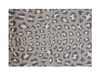 2' x 3' Gray and Brown Cheetah Washable Floor Mat