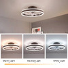 Luxurious Ceiling Lamp And Invisible Fan