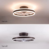 Luxurious Ceiling Lamp And Invisible Fan