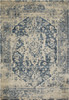 5 x 8 Beige Blue Distressed Medallion Area Rug