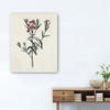 30" Singular Red Blossom Branch Canvas Wall Art