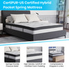 Riverdale Full Size Tufted Upholstered Platform Bed in Black Fabric with 10 Inch CertiPUR-US Certified Pocket Spring Mattress