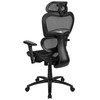 LO Ergonomic Mesh Office Chair with 2-to-1 Synchro-Tilt, Adjustable Headrest, Lumbar Support, and Adjustable Pivot Arms in Black