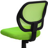 Neri Low Back Green Mesh Swivel Task Office Chair