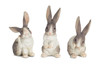 Rabbit (Set of 6) 6.5"H Resin - 74271