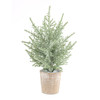 Potted Icy Pine Tree (Set of 6) 12"H Plastic/Paper - 83221