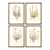 Floral Print (Set of 4) 12"L x 17.5"H MDF/Wood/Paper/Glass - 85199