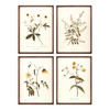 Floral Print (Set of 4) 12"L x 17.5"H MDF/Wood/Paper/Glass - 85200