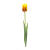 Tulip Stem (Set of 6) 27"H Polyester/Plastic - 85228