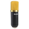 Professional Audio Condenser Microphone w/ Shock Mount