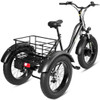 500 W Electric Adults Tricycle with 20" Fat Tire and Lithium Battery