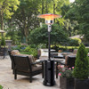 Outdoor Heater Propane Standing LP Gas Steel with Table & Wheels-Black