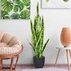 35.5 Inch Indoor-Outdoor Decoration Fake Artificial Snake Plant