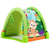 4-in-1 Baby Play Activity Center Gym Mat