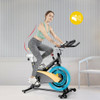 Magnetic Exercise Bike Stationary Belt Drive Indoor Cycling Bike