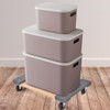 2 Pieces Furniture Dolly Moving Carrier with 1000lbs Capacity