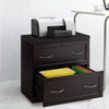 2-Drawer Free Standing Lateral File Cabinet-Black