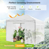 Greenhouse Outdoor Mini Walk-in Plant Portable Garden Greenhouse-White
