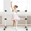 4 Feet Portable Freestanding Stable Construction Pilates Ballet Barre with Double Dance Bar-Silver