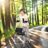 Folding Auxiliary Walker Rollator with Brakes Flip-Up Seat Bag Multifunction-Silver
