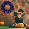 24 Inch Pre-lit Halloween Wreath with 35 Purple LED Lights