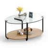 2-Tier Glass-Top Modern Coffee Table with Storage Shelf