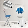 Lightweight Adjustable Folding Cane Seat with Light-Blue