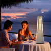 9500 BTU Portable Stainless Steel Tabletop Patio Heater with Glass Tube