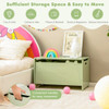 Wooden Kids Toy Box with Safety Hinge-Green