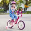 Kids Bike with Doll Seat and Removable Training Wheels-M