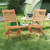 Teak Wood Patio Folding Dining Chair with Slatted Seat