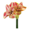 Amaryllis Flower Stem (Set of 2) - 86239