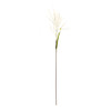 Astilbe Stem (Set of 6) - 86251