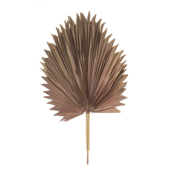 Fan Palm Leaf (Set of 6) 42"H Natural Palm - 83228