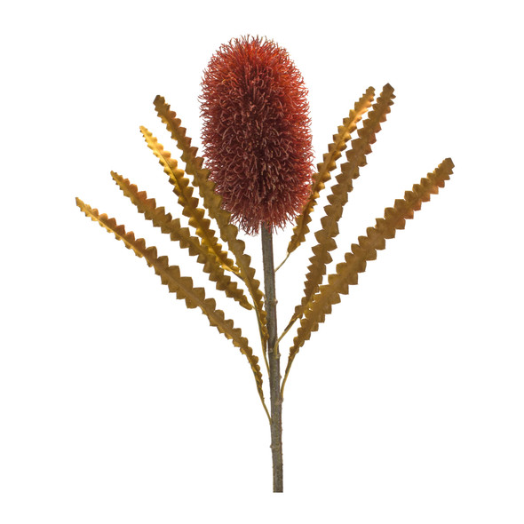 Banksia Stem (Set of 6) 24"H Plastic - 85797