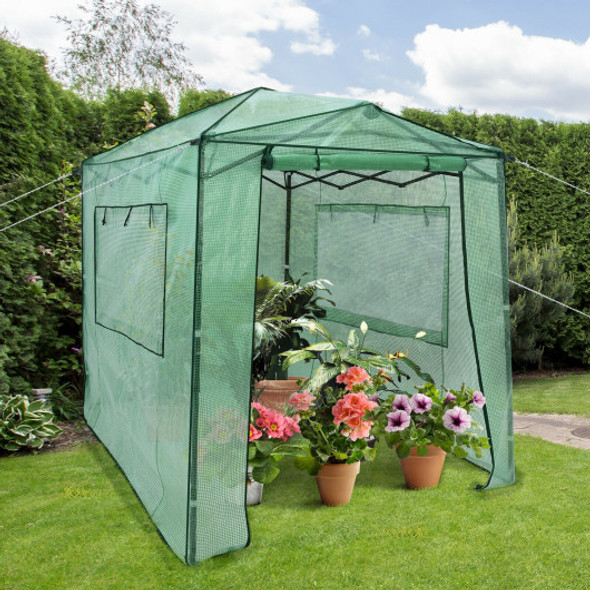 Portable Walk-in Greenhouse  with Window-Green