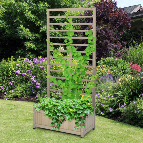 Raised Garden Bed with Trellis for Climbing Plants