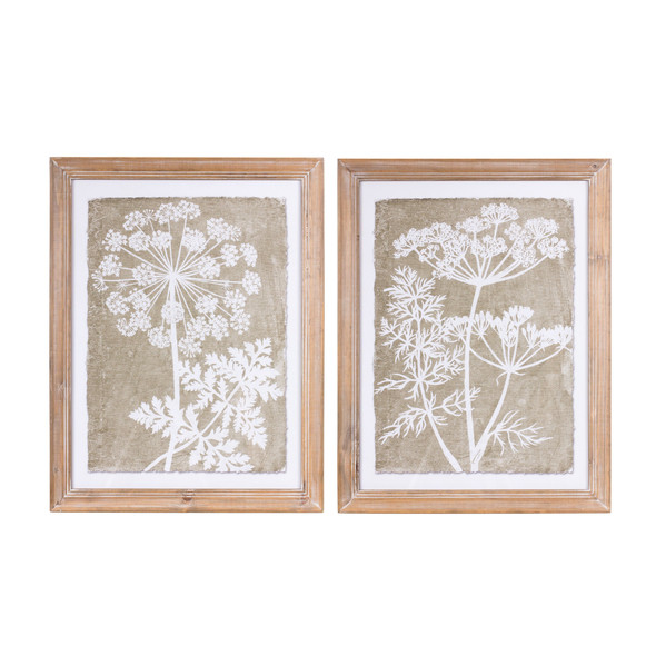 Framed Queen Anne's Lace and Fern Wall Art (Set of 2) - 88730