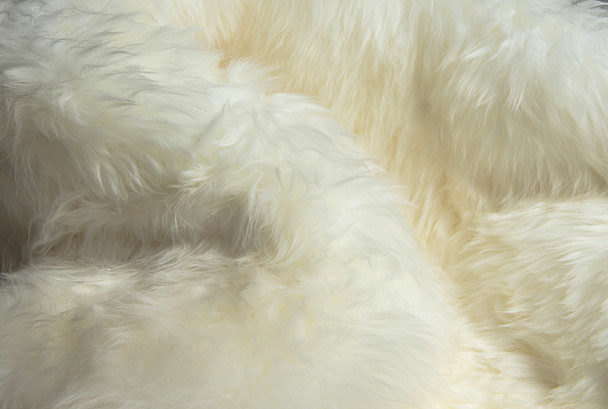 2' x 3'  Natural New Zealand Sheepskin Wool Area Rug in White